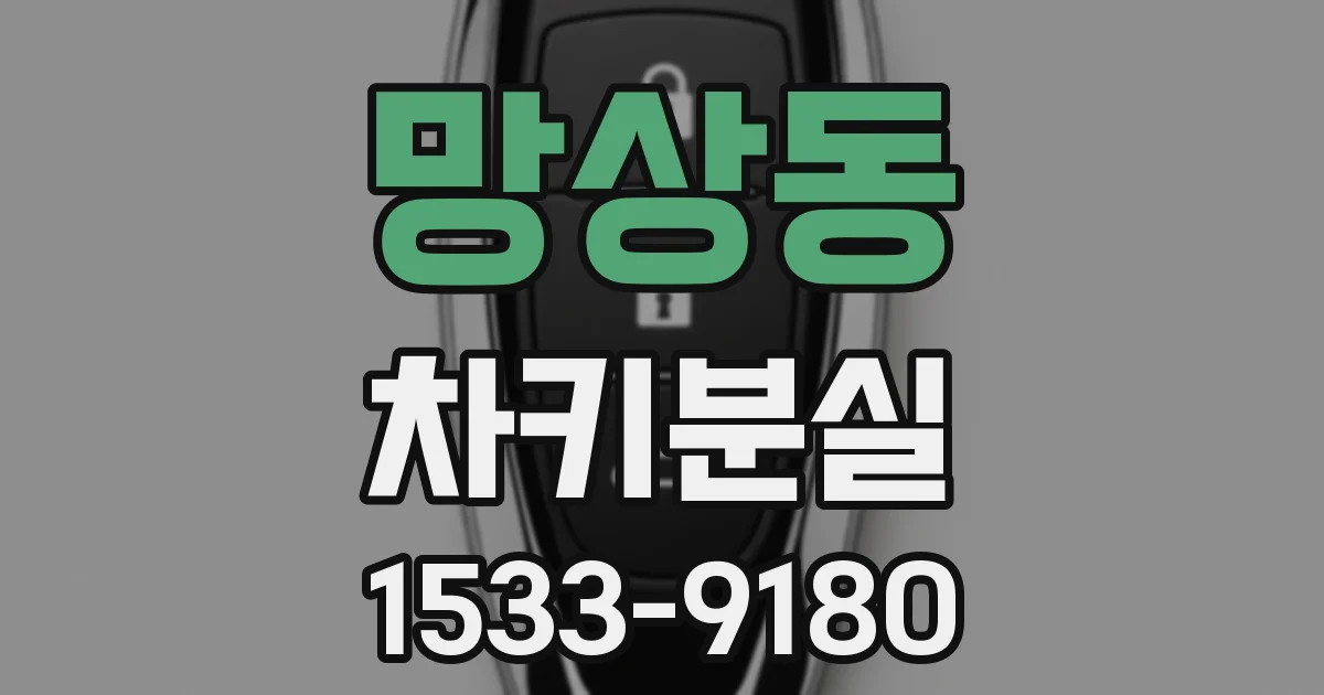 망상동 차키분실