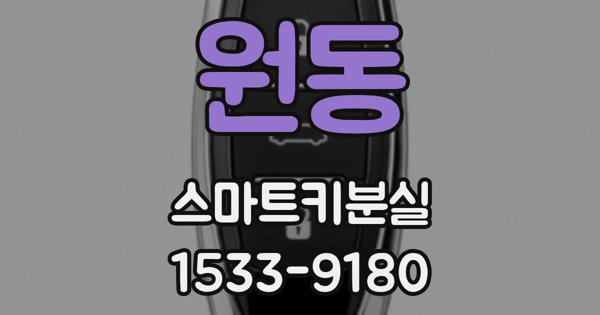 원동 스마트키분실