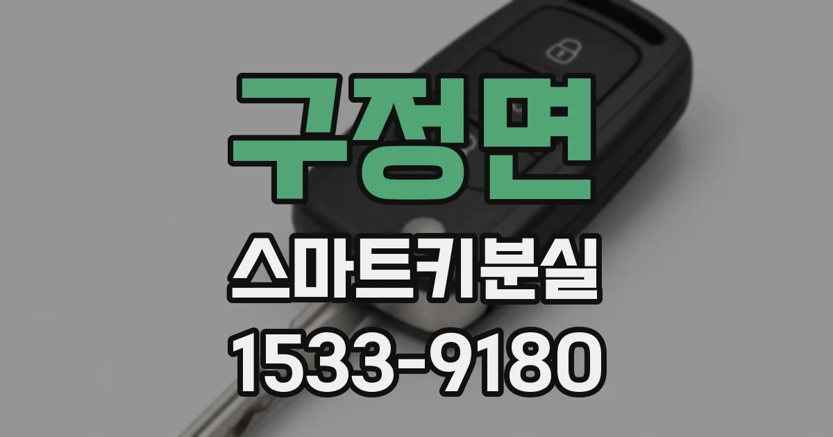 구정면 스마트키분실