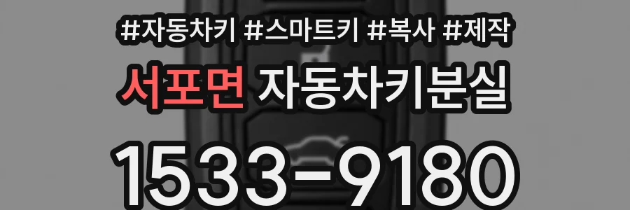 서포면 자동차키분실