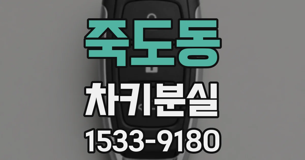 죽도동 차키분실