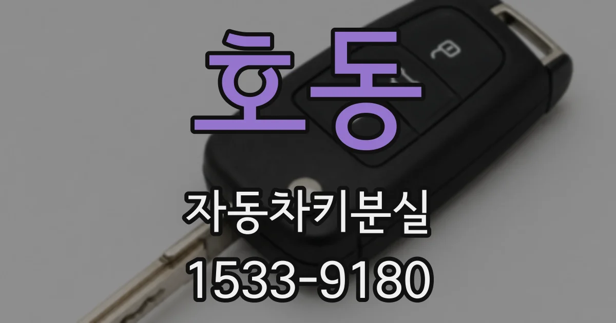 호동 자동차키분실