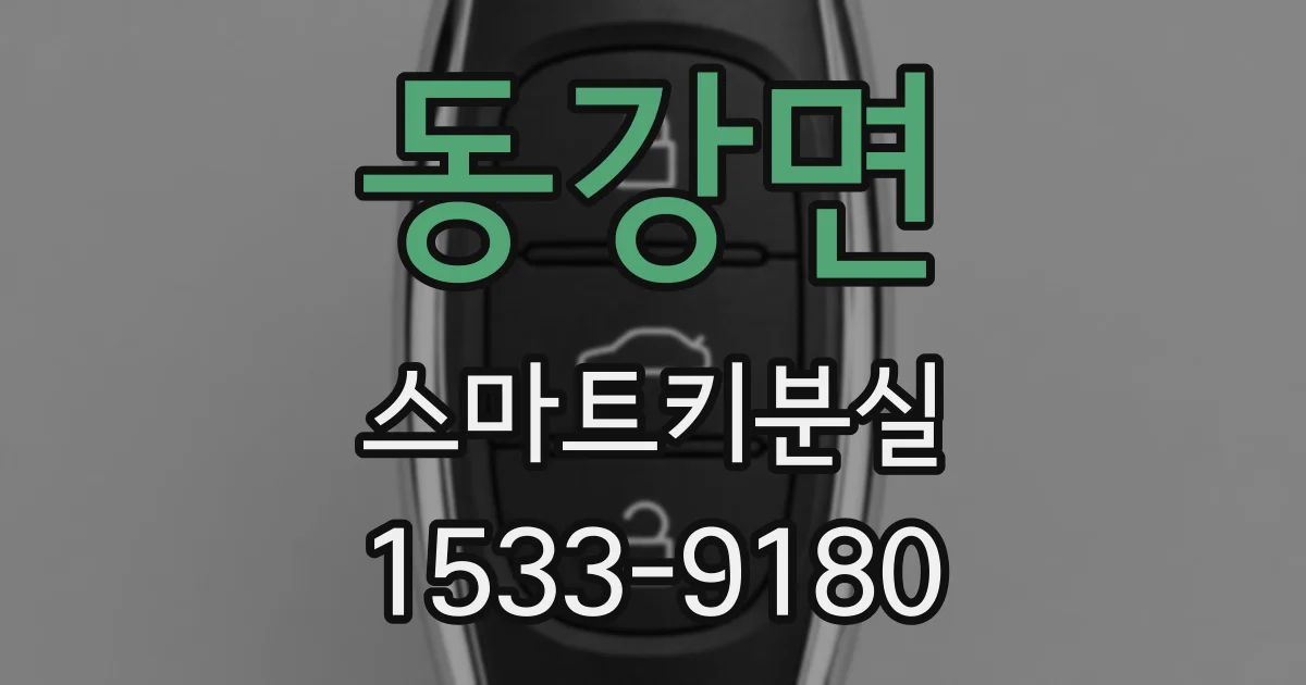 동강면 스마트키분실