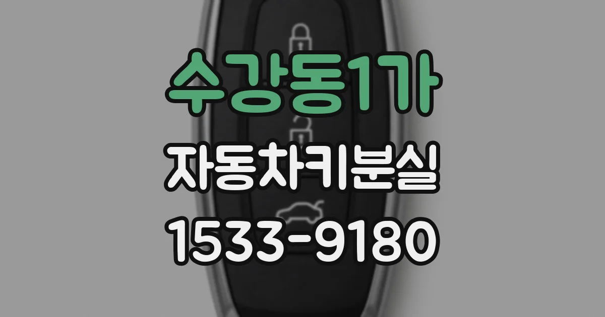수강동1가 자동차키분실