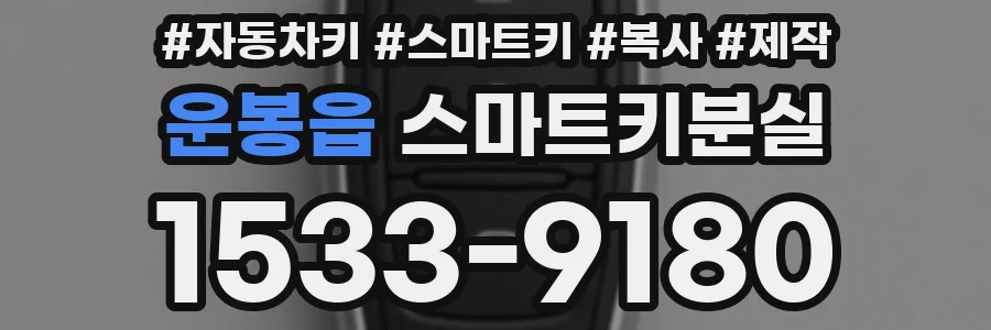 운봉읍 스마트키분실