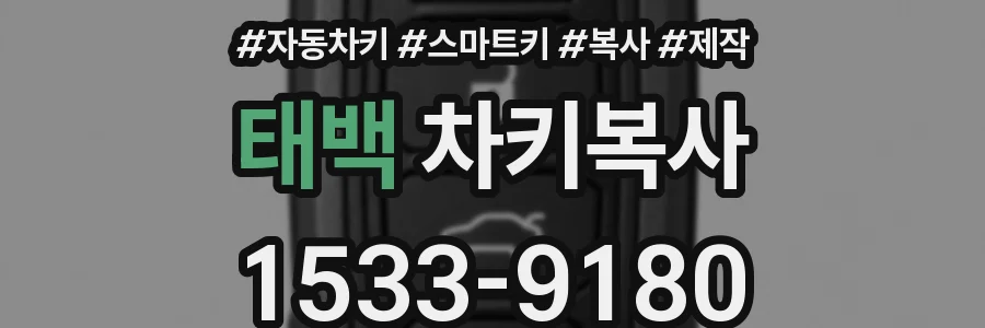 태백 차키복사