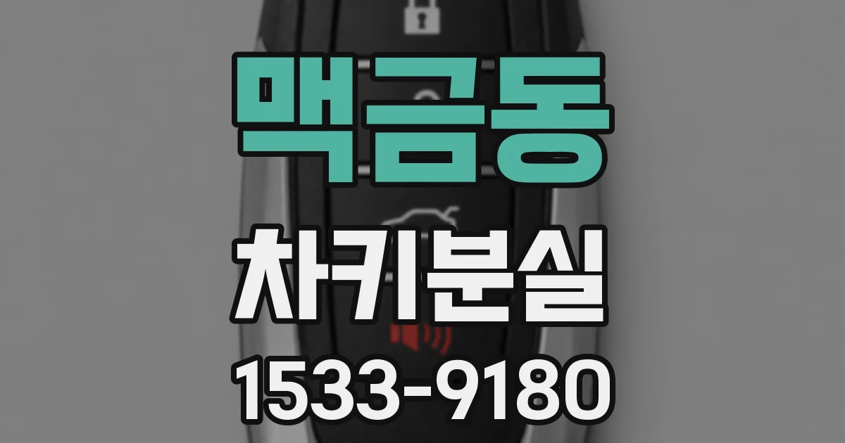맥금동 차키분실
