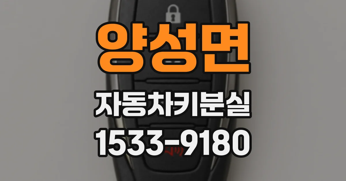 양성면 자동차키분실