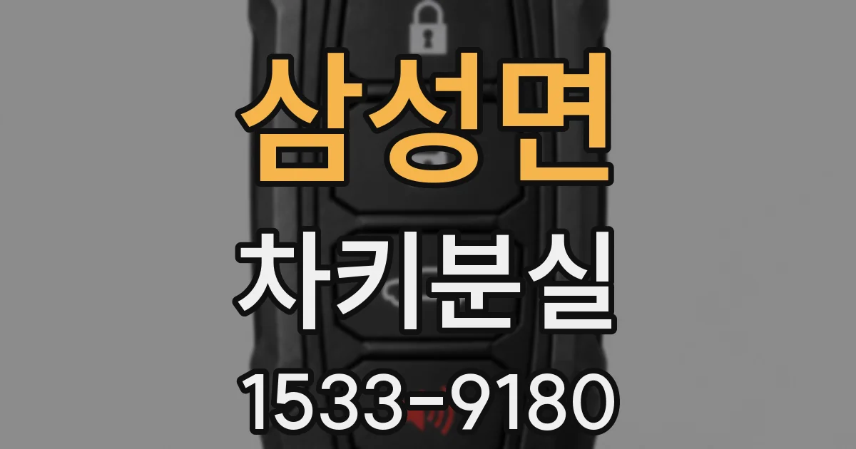 삼성면 차키분실