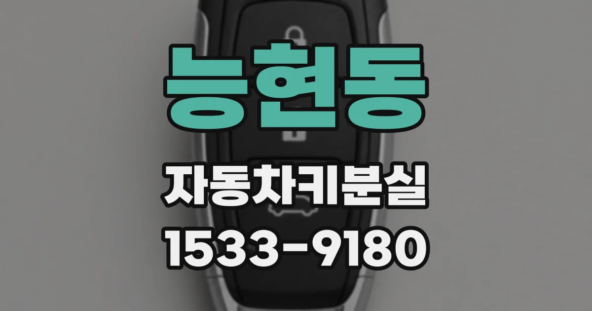 능현동 자동차키분실