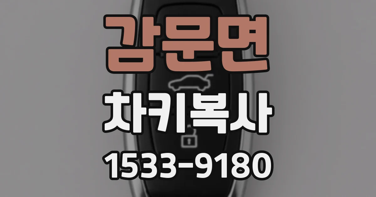 감문면 차키복사