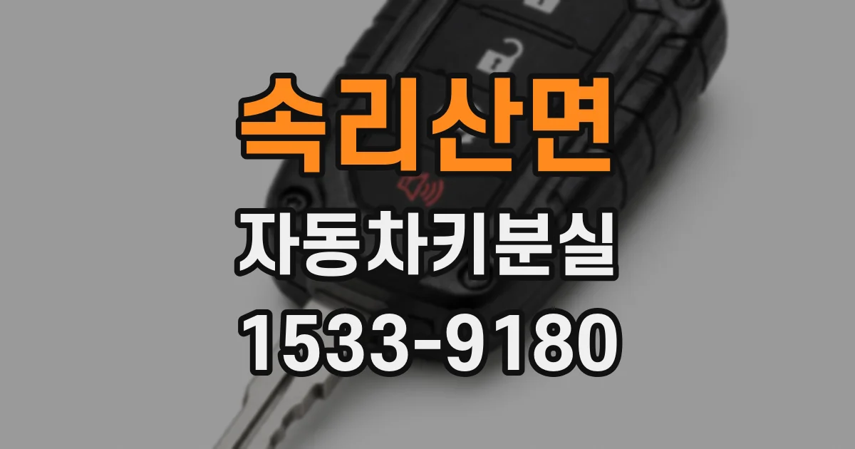 속리산면 자동차키분실
