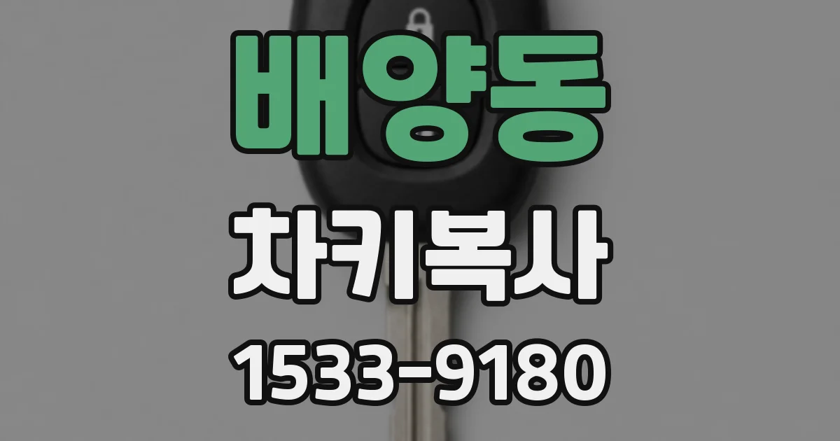 배양동 차키복사
