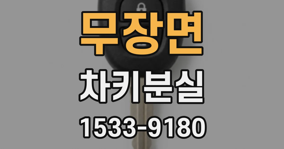 무장면 차키분실
