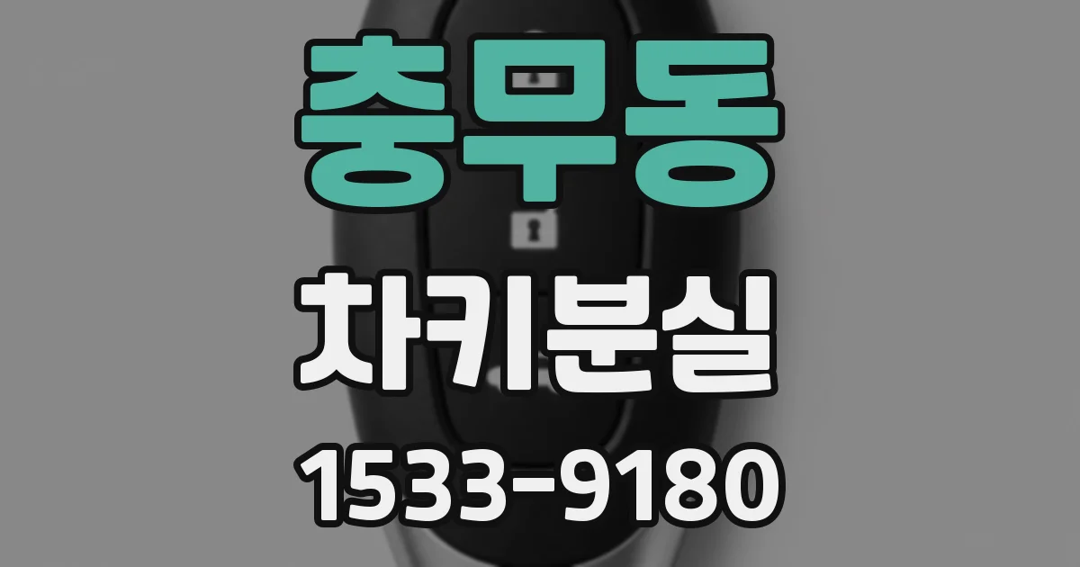충무동 차키분실
