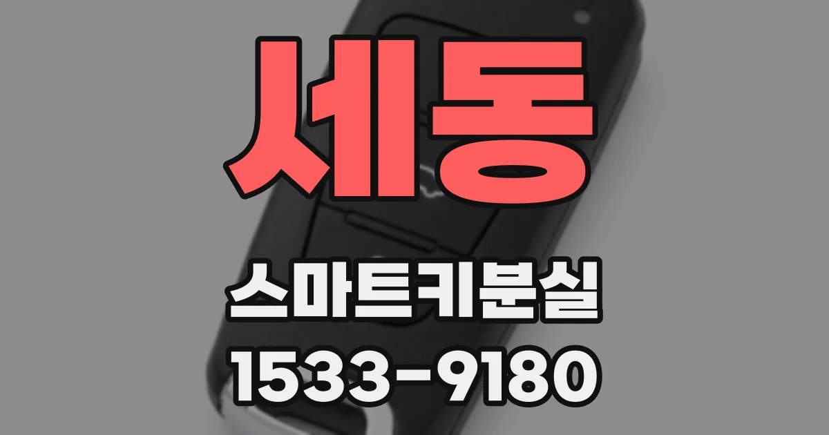 세동 스마트키분실