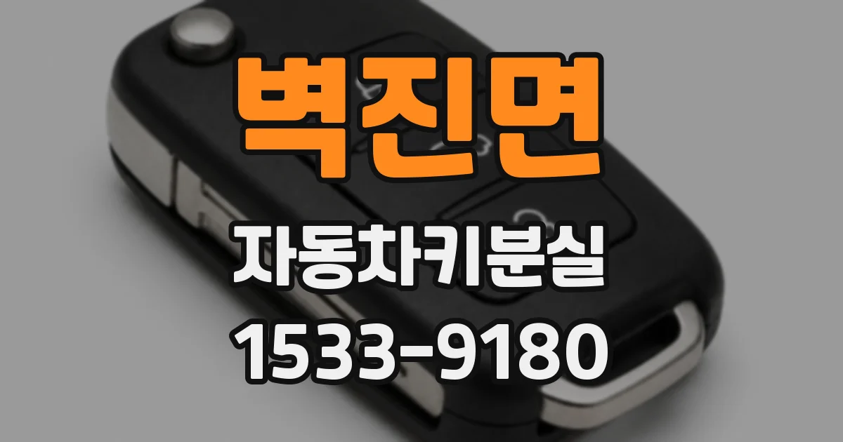 벽진면 자동차키분실