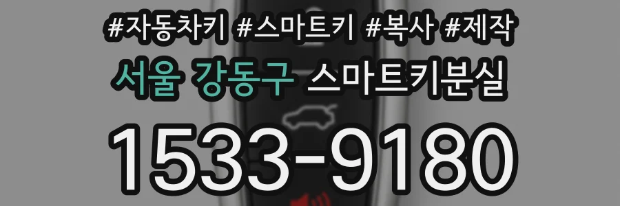 서울 강동구 스마트키분실