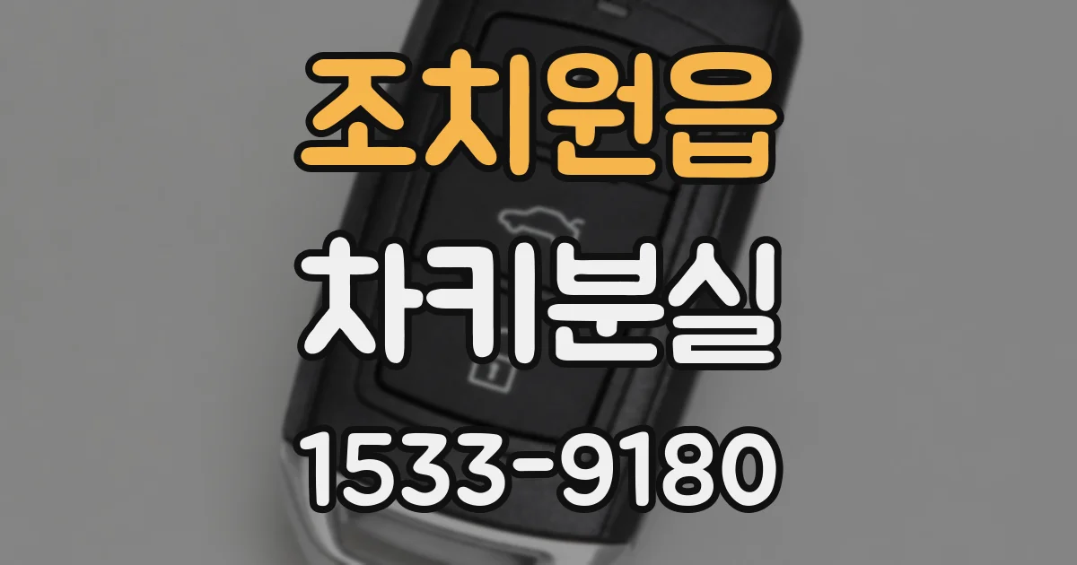 조치원읍 차키분실
