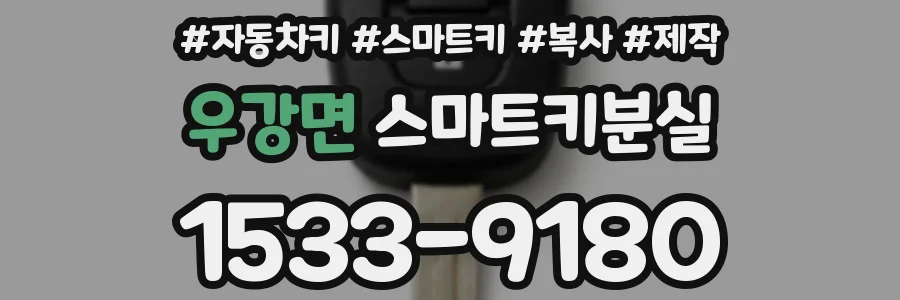 우강면 스마트키분실