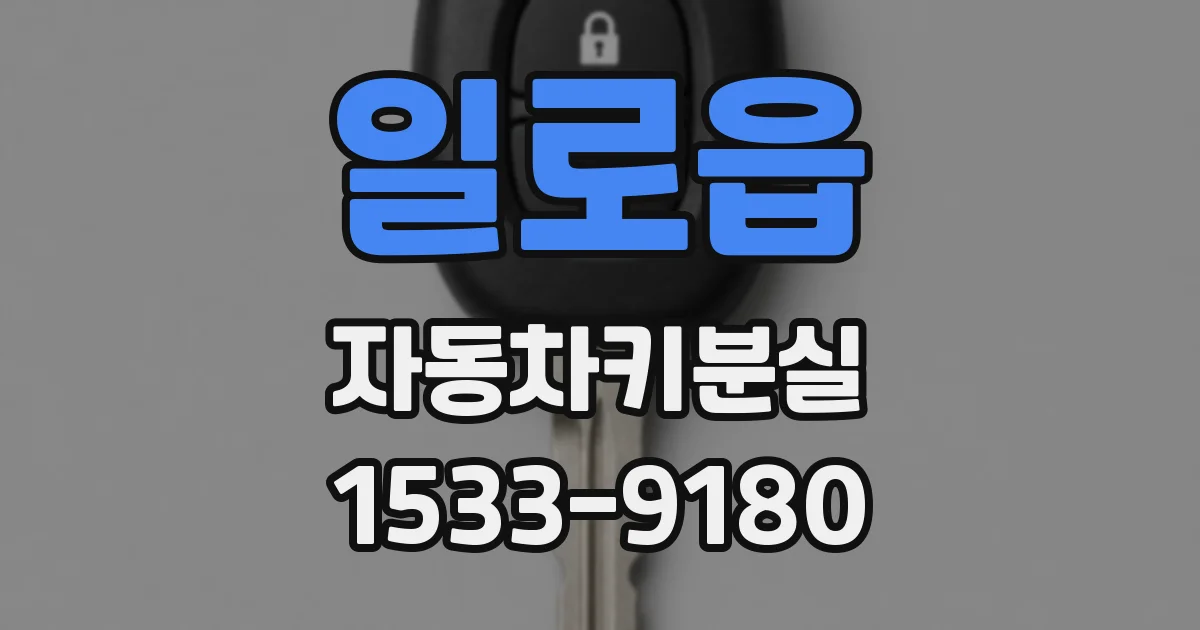 일로읍 자동차키분실
