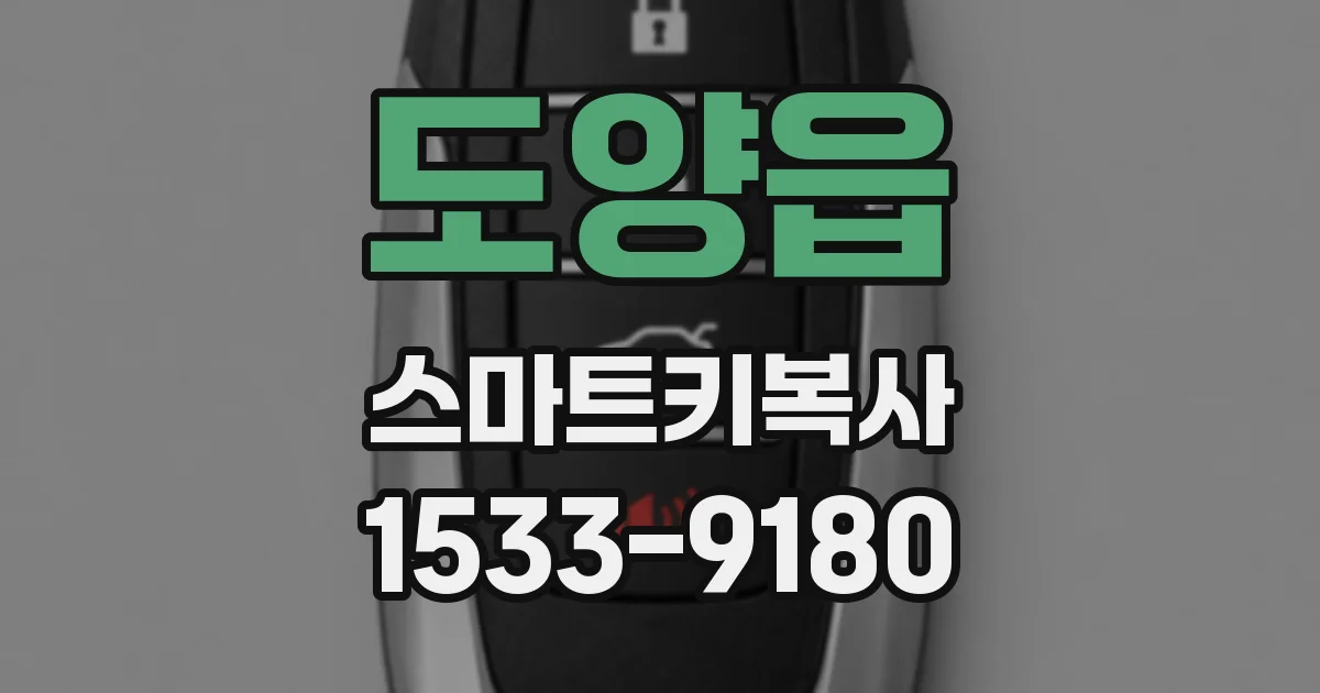 도양읍 스마트키복사