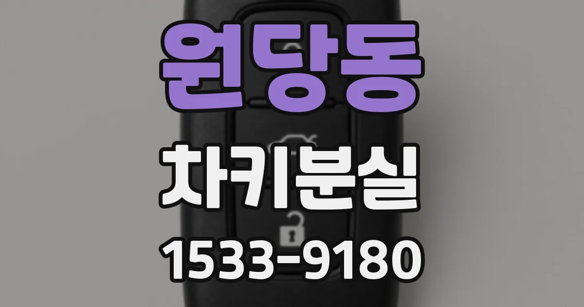 원당동 차키분실
