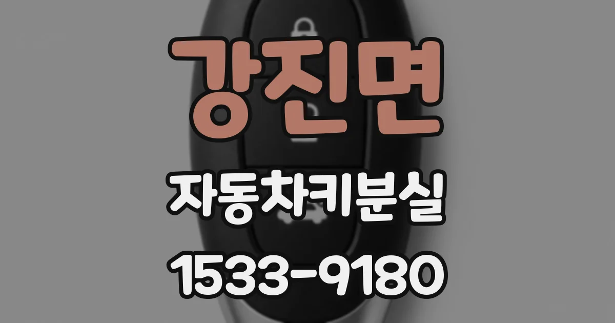 강진면 자동차키분실