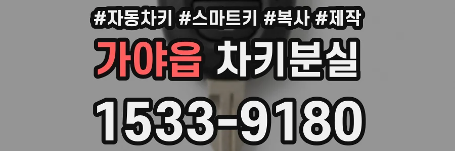 가야읍 차키분실