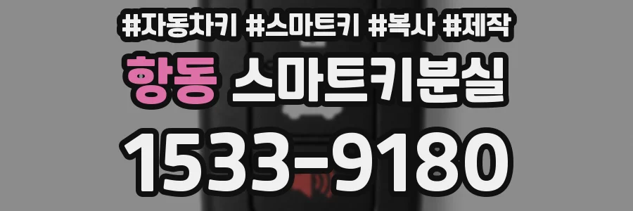 항동 스마트키분실