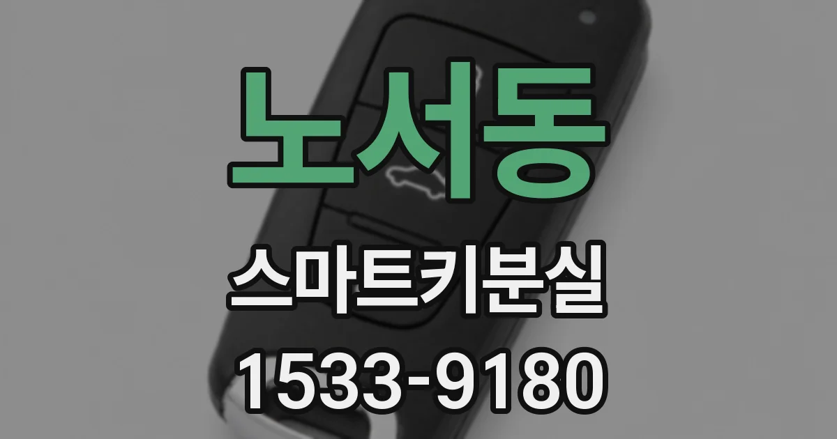 노서동 스마트키분실
