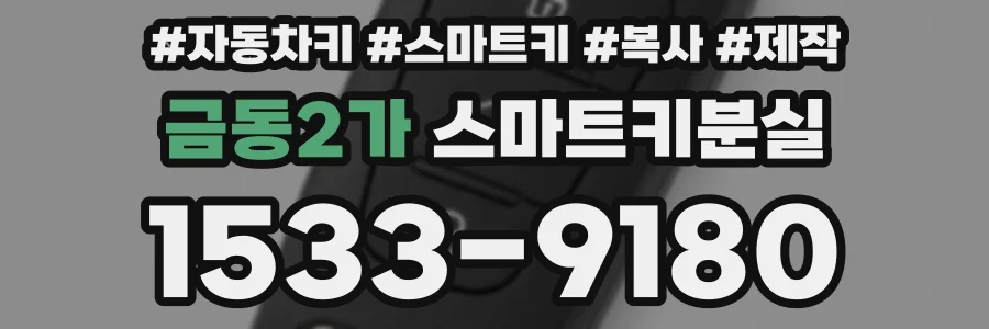 금동2가 스마트키분실