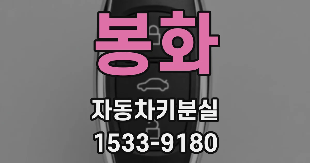 봉화 자동차키분실