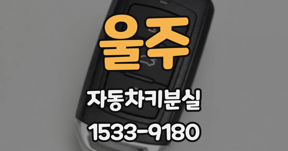 울주 자동차키분실