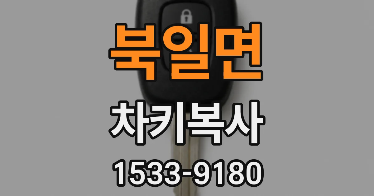 북일면 차키복사