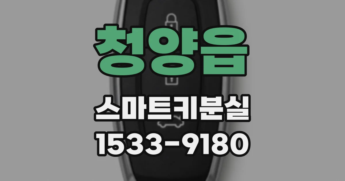 청양읍 스마트키분실