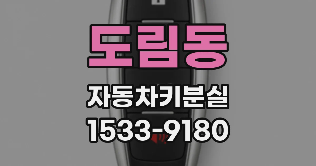 도림동 자동차키분실