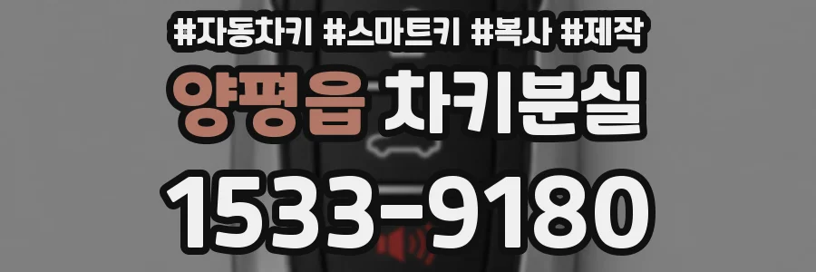 양평읍 차키분실