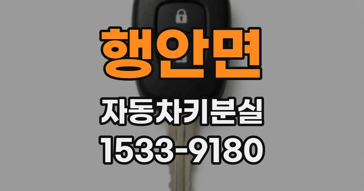 행안면 자동차키분실
