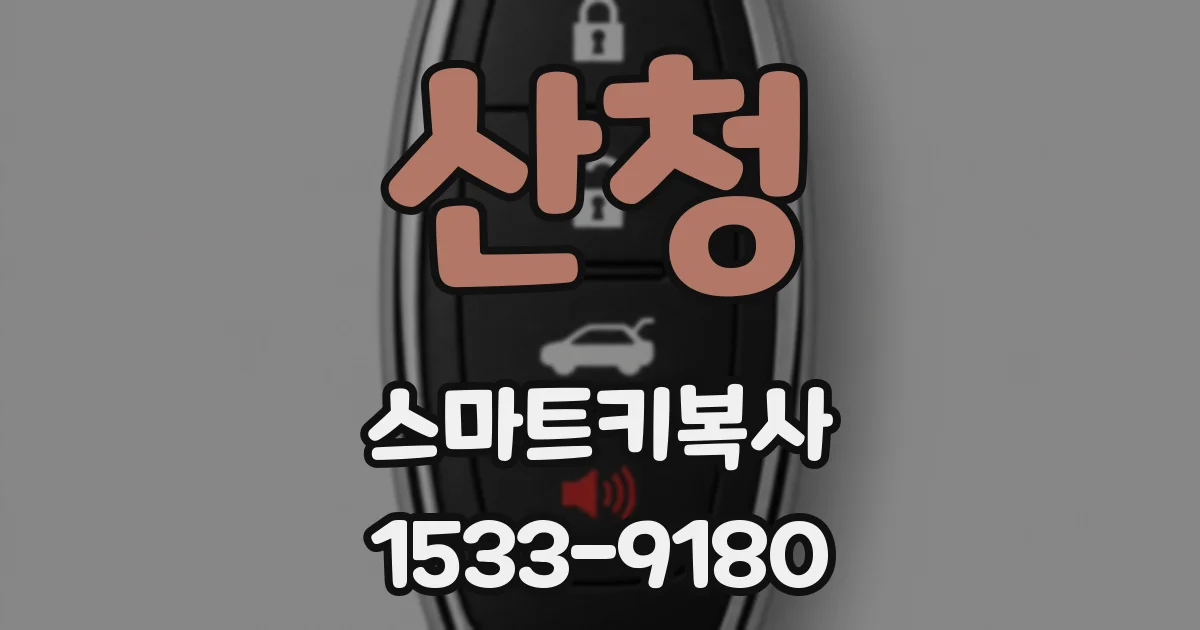 산청 스마트키복사