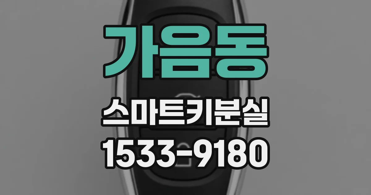 가음동 스마트키분실