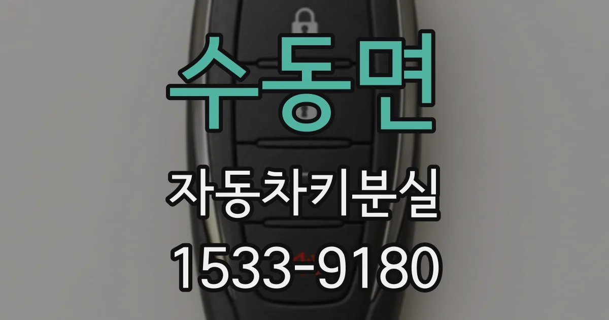 수동면 자동차키분실