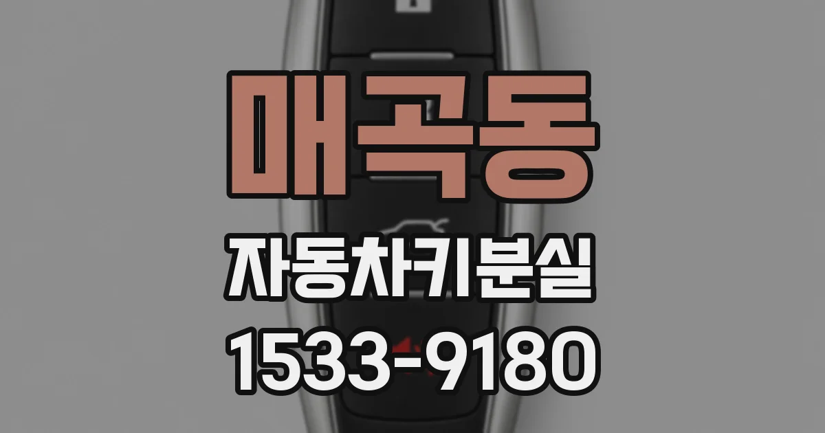 매곡동 자동차키분실