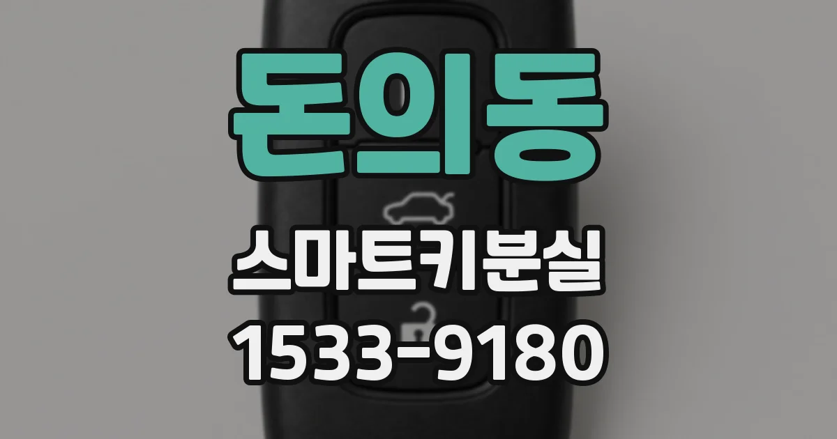 돈의동 스마트키분실