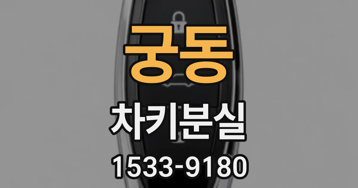 궁동 차키분실