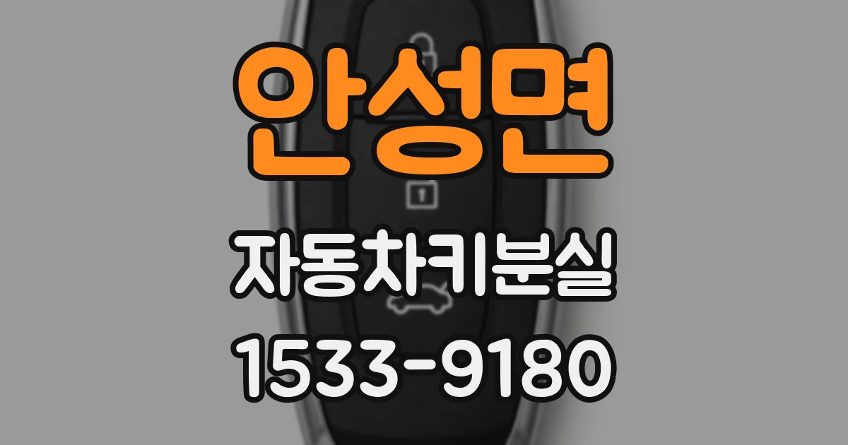 안성면 자동차키분실