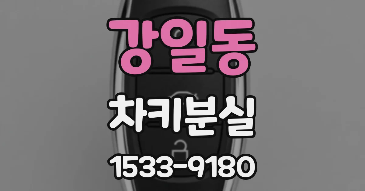 강일동 차키분실