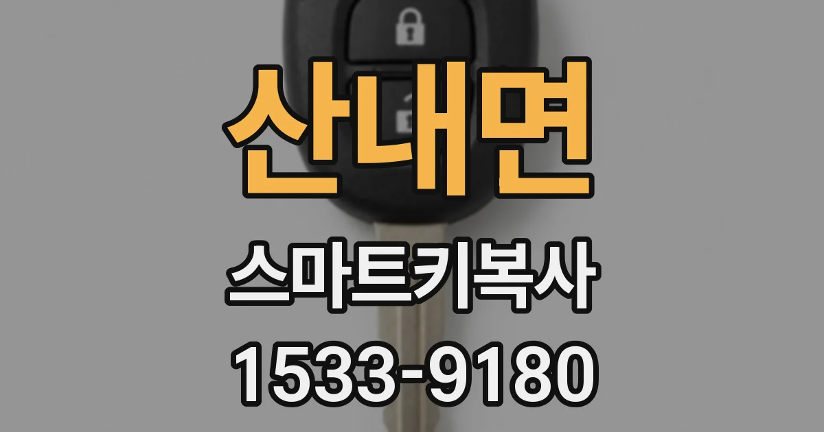 산내면 스마트키복사