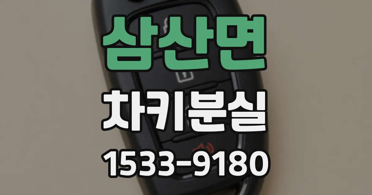 삼산면 차키분실