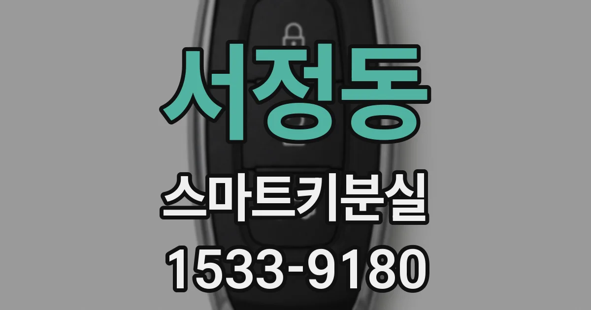 서정동 스마트키분실